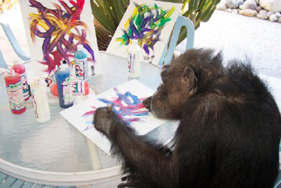 20060409215128-monkey.jpg
