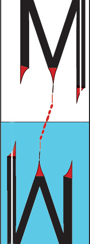 b5.jpg