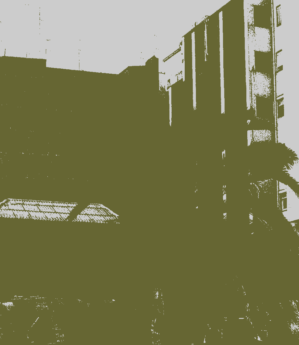 palmera-al-born.gif