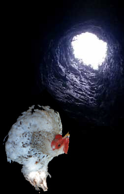 poug.jpg