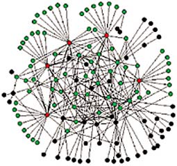 scale-free-network.jpg